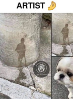 Cainele artist - poza demo