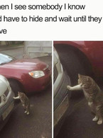 When I see somebody I know and have to hide - poza demo