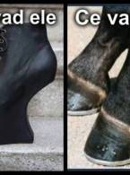 Dacă vrei un armăsar, tocurile copită te pot ajuta - poza demo