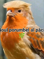 Noul porumbel al pacii - poza demo