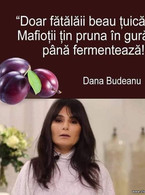 Fatalaii beau tuica. Mafiotii tin pruna in gura - poza demo