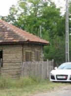 Viața cocalarului - poza demo