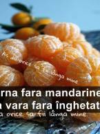 Iarna fără mandarine - poza demo