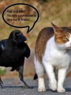 Cu toții avem un prieten ca acesta... - poza demo