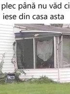 Nu plec pana nu vad cine iese din casa asta - poza demo