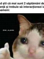 Can stii ca mai sunt 2 saptamani de vacanta - poza demo