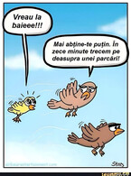 Vreau la baie - poza demo