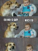 Știai că o persoană din 3 este gay? - poza demo