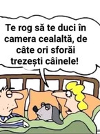 Te rog sa te duci in camera cealalta - poza demo