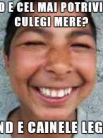 Când e cel mai potrivit să culegi mere? - poza demo