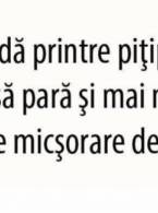 Că tot nu îl folosesc - poza demo