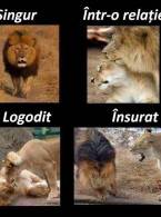 Bărbatul singur, într-o relaţie, logodit şi însura - poza demo