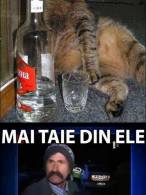 Când întrebi un prieten cât a băut - poza demo