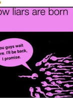 How liars are born - poza demo