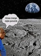 Aicea mergea niste porumb - Petre DAEA - poza demo