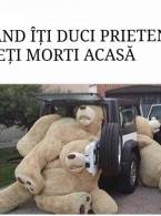 Când îţi duci acasă prietenii beţi - poza demo