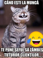 Cand esti la munca si te pune seful sa zambesti - poza demo
