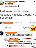 Capsune din recolta proprie - poza demo