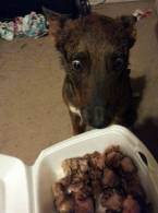 Nu i-a venit sa creadă ce a primit - poza demo