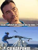 Cum salvezi un țigan de la înec - poza demo