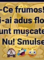 Mi-ai adus flori - poza demo