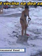 A iesit vecina sa dea zapada - poza demo