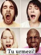 Probabil vei căsca - poza demo