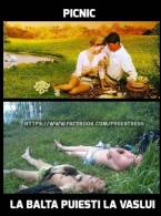 Picnic - poza demo