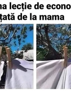 Prima lectie de economie de la mama - poza demo