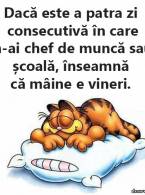 Cum îți dai seama că se apropie ziua de vineri - poza demo