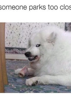 When someone parks too close to my car - poza demo