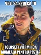 Cum să faci așa ceva? - poza demo