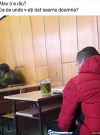 Alex ti-e rau? - poza demo