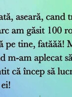 Am gasit 100 ron - poza demo