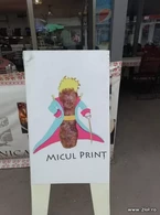 Micul print - poza demo