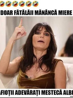 Fatalaii manca miere - poza demo