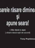 Postările lui Tony Poptămaş - poza demo