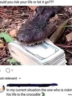 Would you risk? - poza demo