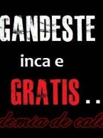 Gândeşte - poza demo