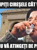 Scumpiti ciresele cat vreti - poza demo