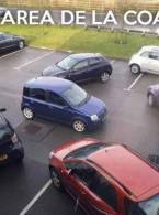 Se pricep bine la parcat, nu glumă - poza demo