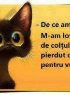 Când te întreabă profu de ce ai întârziat - poza demo