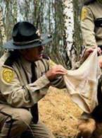 Nu miroase el așa ceva - poza demo