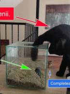 Ce s-a întâmplat în România după revoluție - poza demo