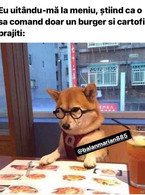 Eu uitandu-ma la meniu, stiind ca o sa - poza demo