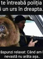 Cand te intreaba politia - poza demo