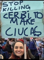Anamaria Gavrila despre Ciucas - poza demo