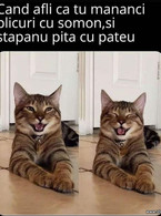 Cand afli ca tu mananci plicuri cu somon - poza demo