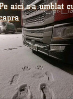 Pe aici s-a umblat cu capra - poza demo