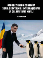 Simion in intalnire internationala - poza demo